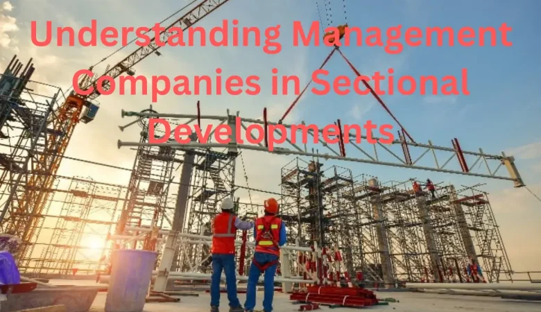 Understanding Management Companies in Sectional Developments: Roles, Powers & Legal Limits