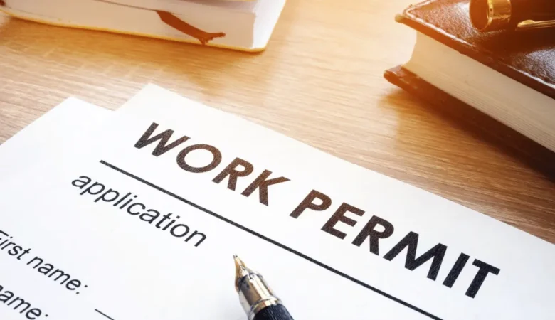 Deep Dive into Kenya’s Class P Work Permit