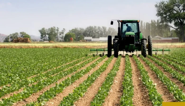 Starting an Agribusiness in Kenya as a Foreigner