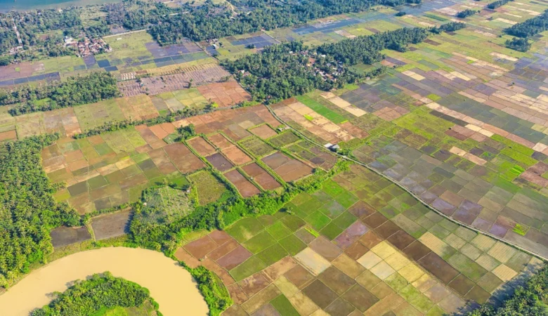 Steps on Converting Property from Freehold to Leasehold in Kenya